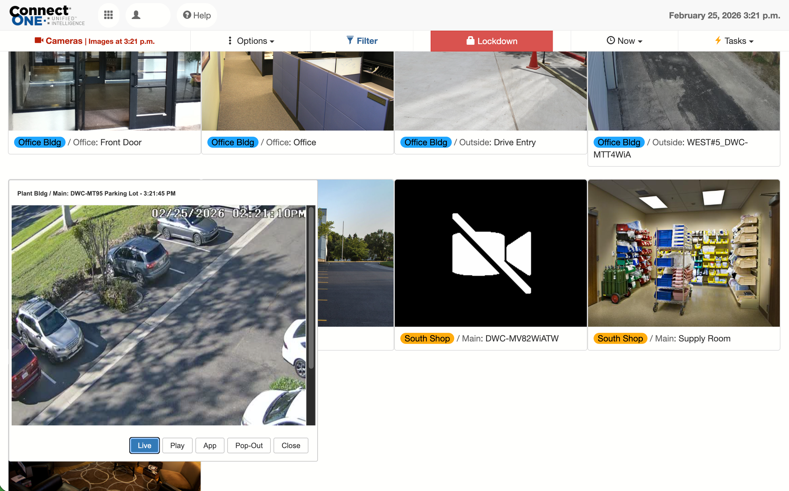 Video Camera Playback